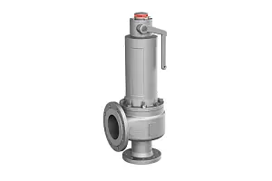 Safety valve