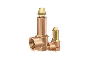 Safety valve