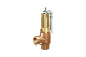 Safety valve