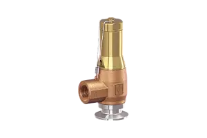 Safety valve