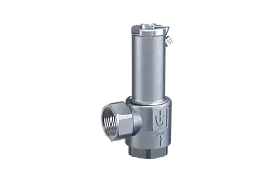 Overflow / pressure control valve