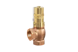 Overflow and pressure control valve