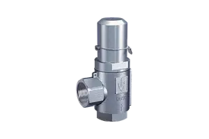 Overflow and pressure control valve