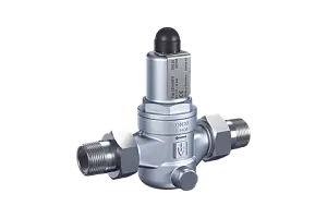 Overflow and pressure control valve