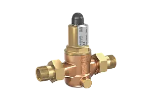 Overflow and pressure control valve