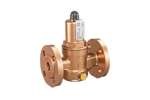 Overflow and pressure control valve