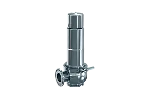 Safety valve
