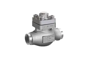 Non-return valve