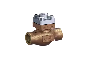 Non-return valve 