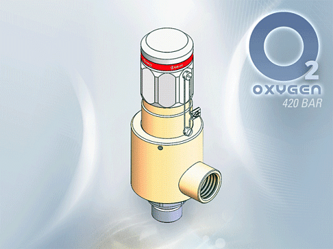 Série 492 GOX - Pro aplikace s kyslíkem do 420 barů