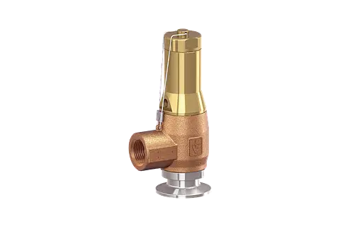 Safety valve