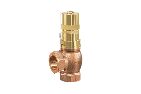 Overflow and pressure control valve