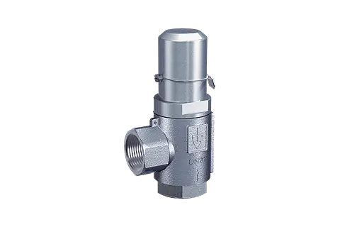 Overflow and pressure control valve