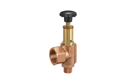 Overflow / pressure control valve