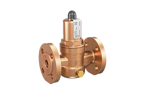 Overflow and pressure control valve