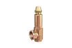 Safety valve
