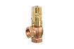 Overflow and pressure control valve