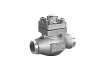 Non-return valve